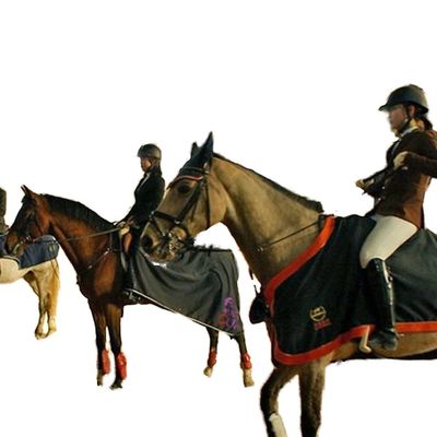 بناء هيكل فولاذ خفيف لمنطقة ركوب الخيل الداخلية