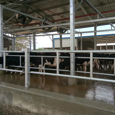 مبنى مزرعة دواجن بإطار فضائي من الصلب مسبق الصنع